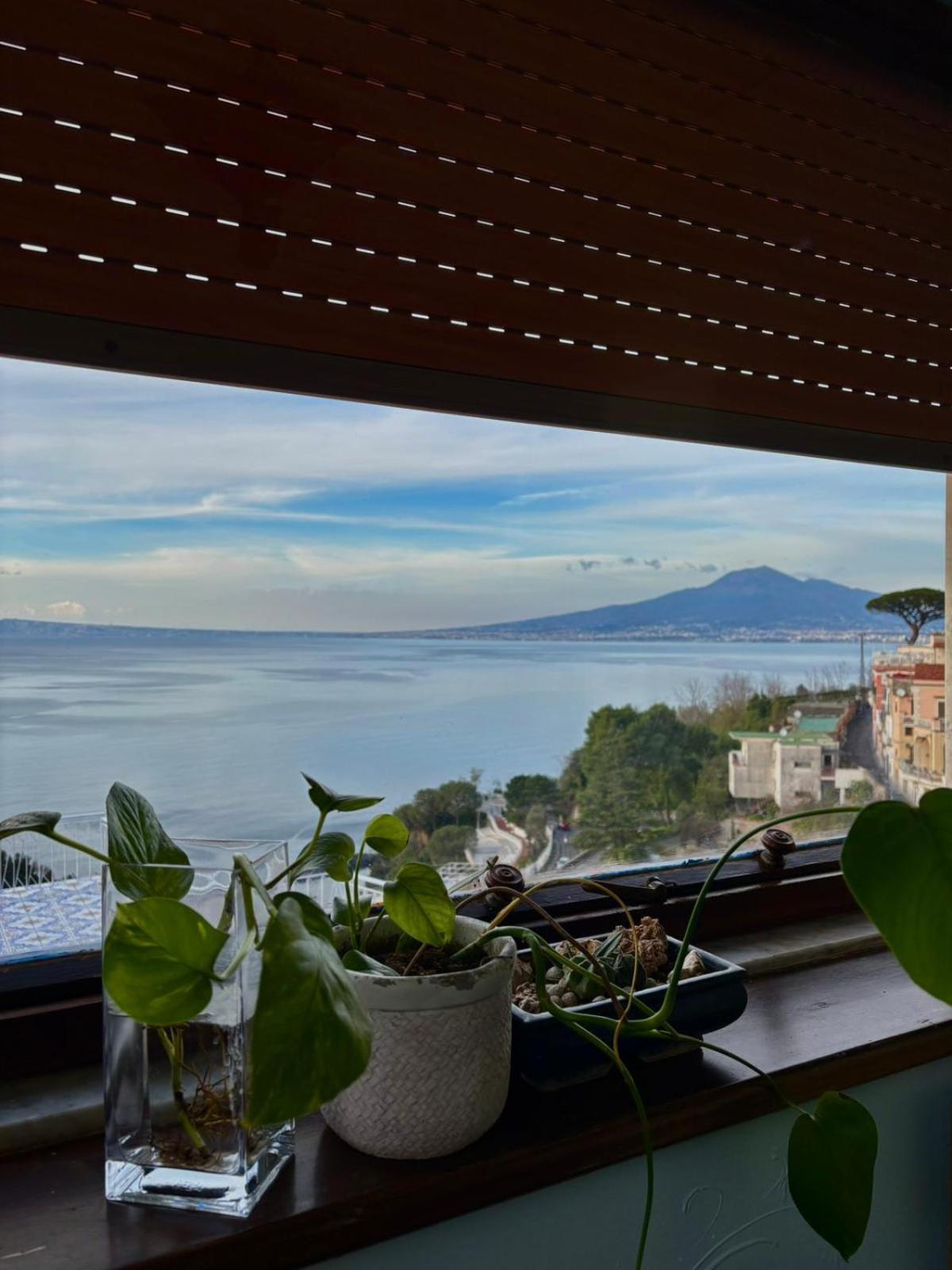 The Dreamer'S Terrace Vico Equense Exteriör bild